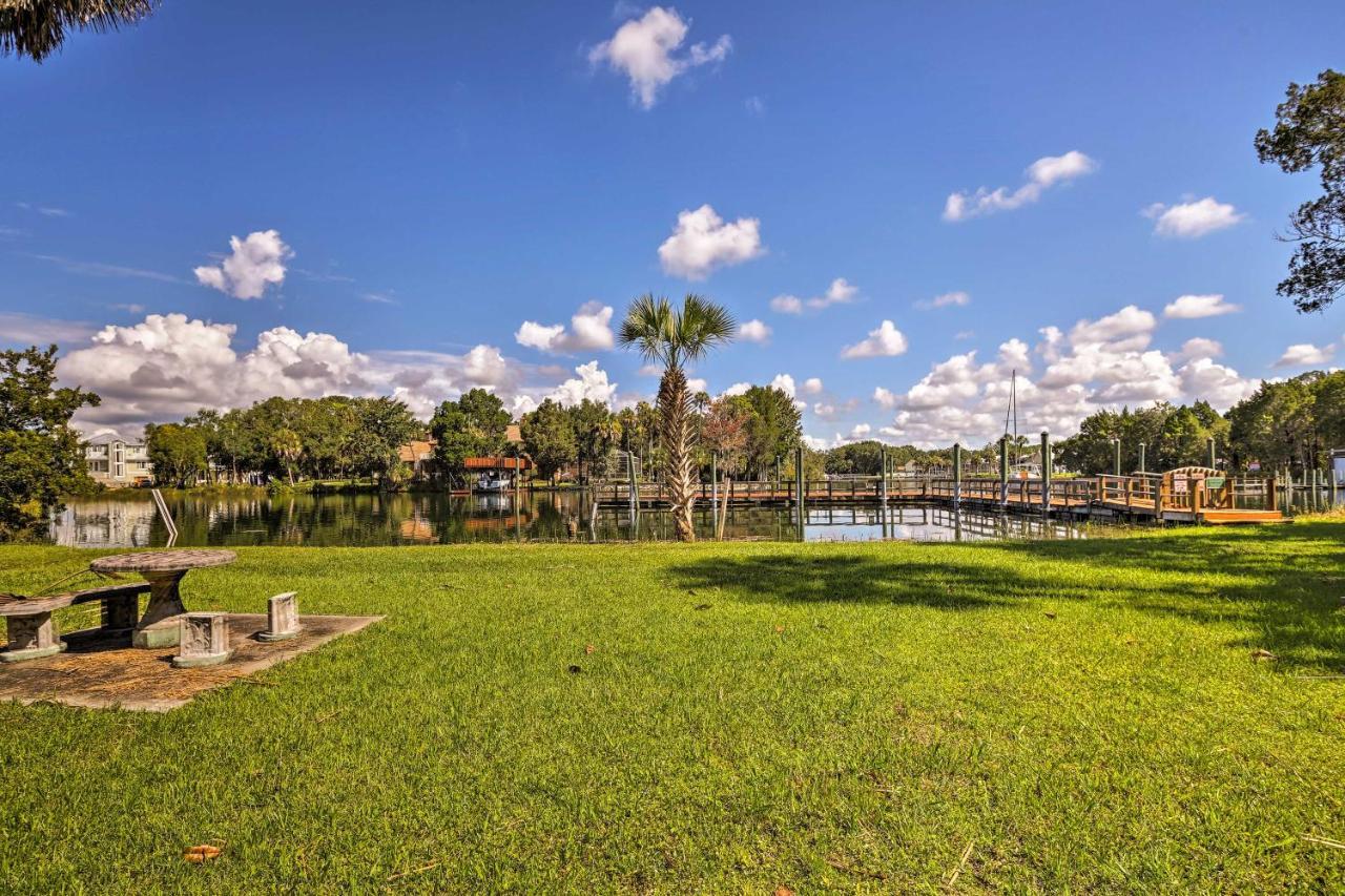 Crystal River House Scalloping And Dock, Gulf 7 Mi! Dış mekan fotoğraf